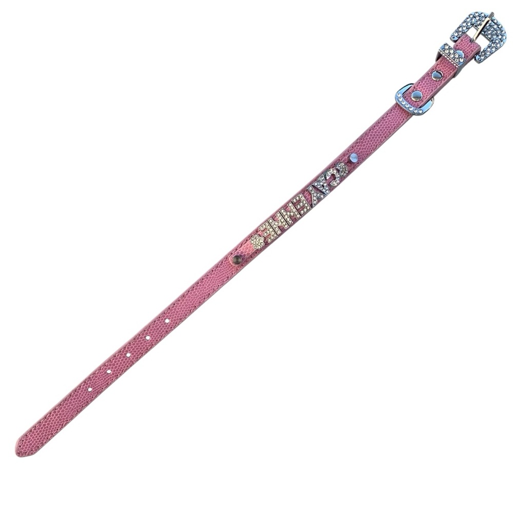 Personalized CAYENNE Pink Dog Collar with Rhinestone Letters and Buckle ~ Small - Picture 6 of 8